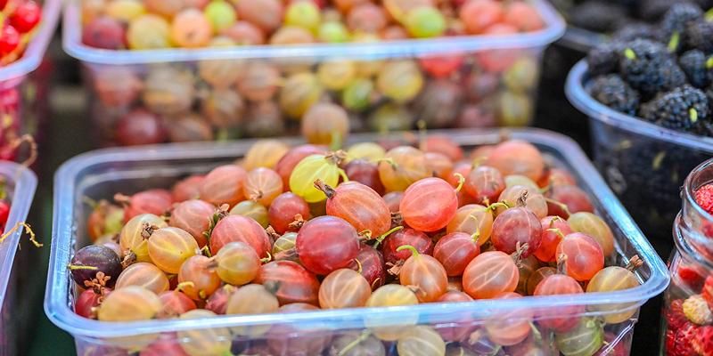 На московских ярмарках начался сезон крыжовника