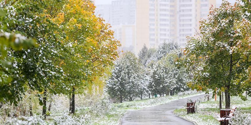 В Москве ожидаются заморозки и мокрый снег
