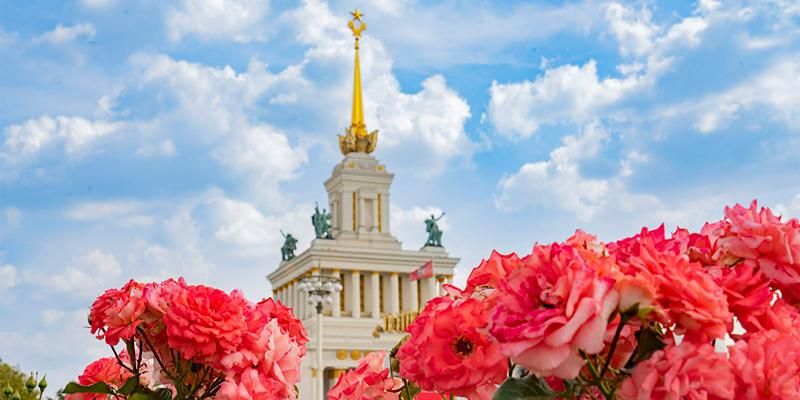 Яркие краски осени: какими цветами можно полюбоваться на ВДНХ