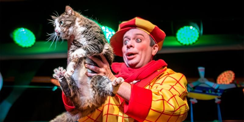 Спасенная из зоны СВО кошка Глуша дебютировала в спектакле Театра Куклачева