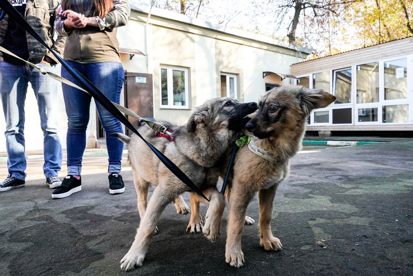 Фото: пресс-служба комплекса городского хозяйства Москвы