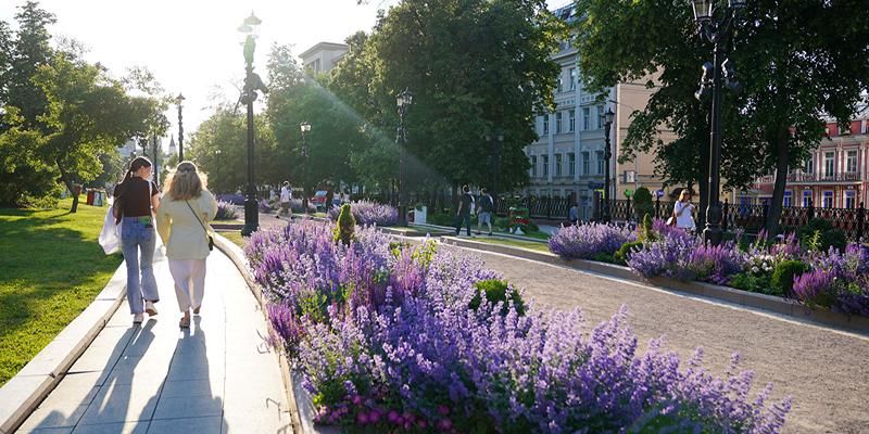 Тепло и кратковременные дожди: прогноз погоды на ближайшие дни