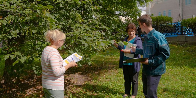 В Москве начали проверять состояние деревьев и кустарников