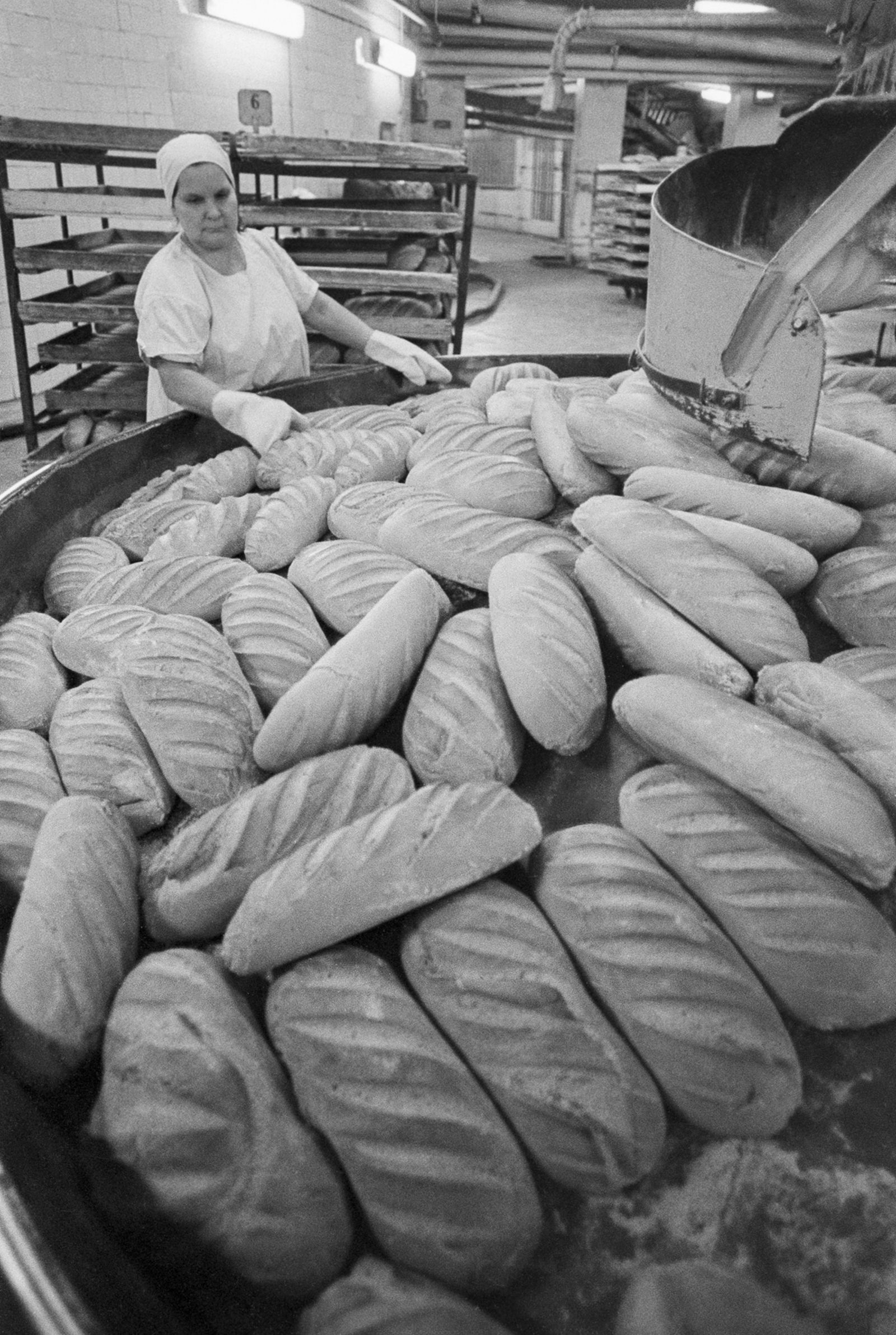 Продукция хлебозавода №5 Краснопресненского района. Автор &ndash; В.Христофоров. Москва, 1972 г. Главархив Москвы