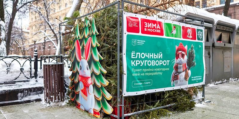 «Елочный круговорот» признали лучшим городским экологическим проектом