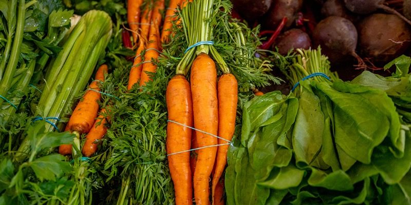 День офтальмолога: какие продукты для здоровья глаз купить на московских ярмарках