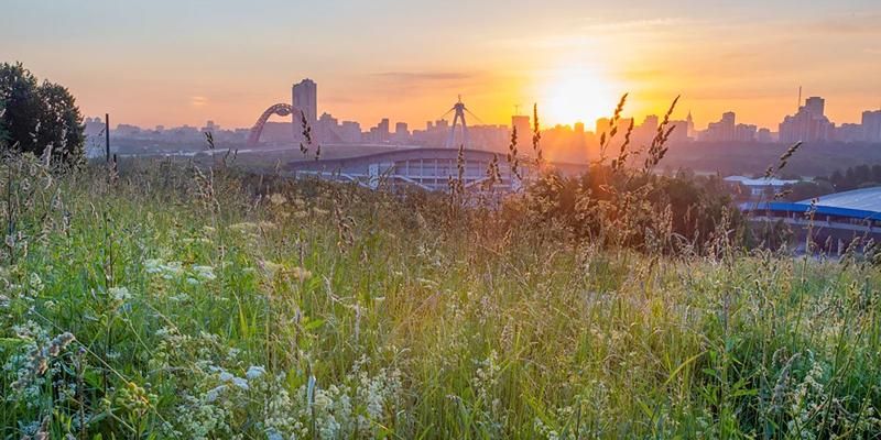 A green oasis in the megapolis: where in Moscow you can relax in nature