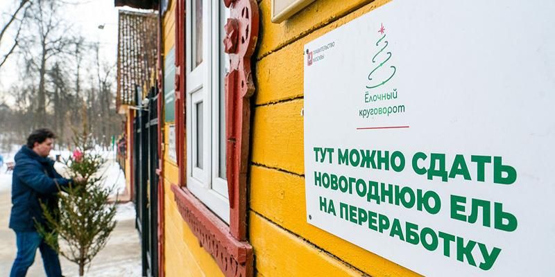 «Елочный круговорот»: москвичей призвали экологично утилизировать новогодние деревья