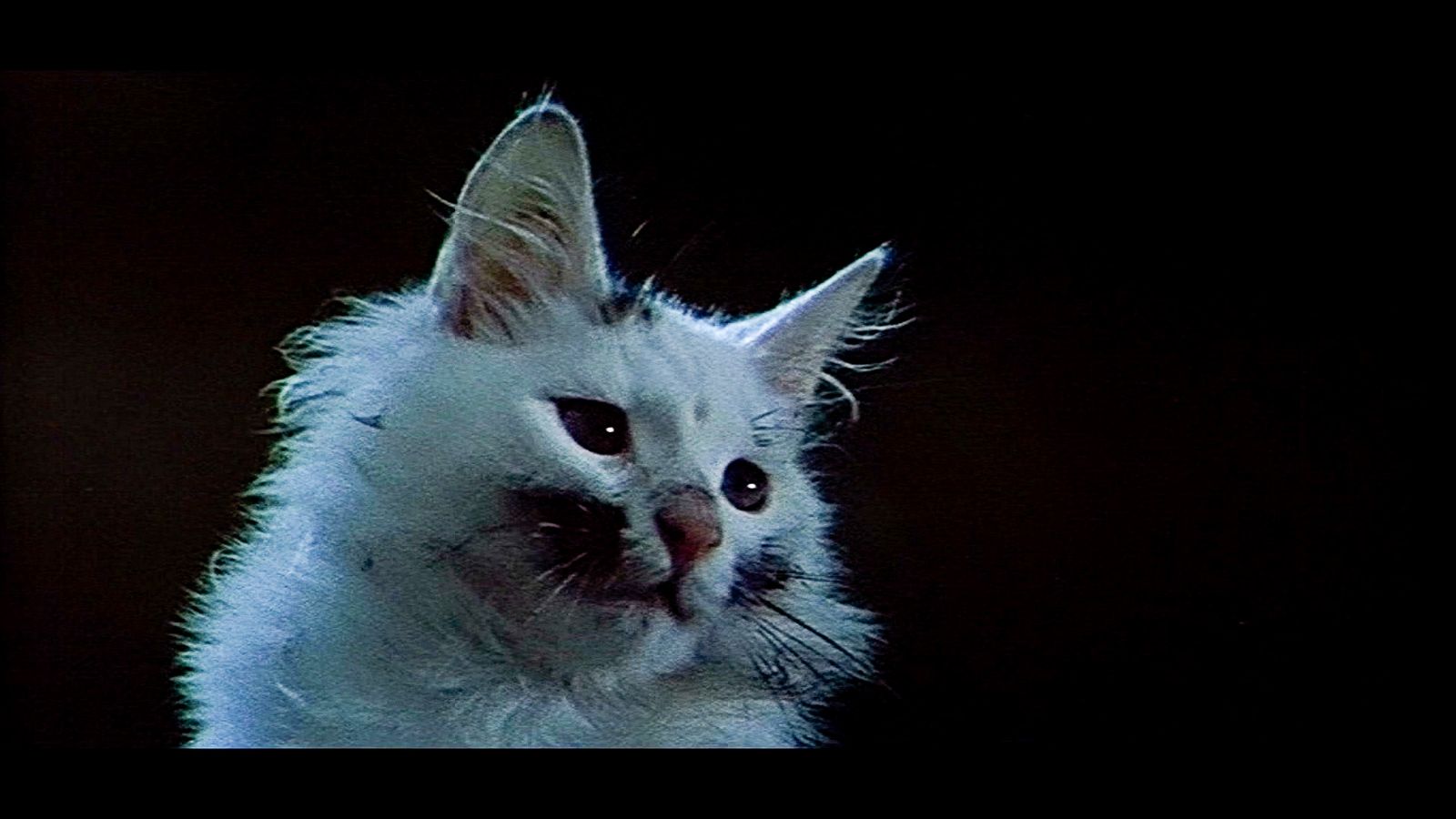 Кадр из фильма &laquo;Золотые рога&raquo;. Режиссер Александр Роу. 1972 год