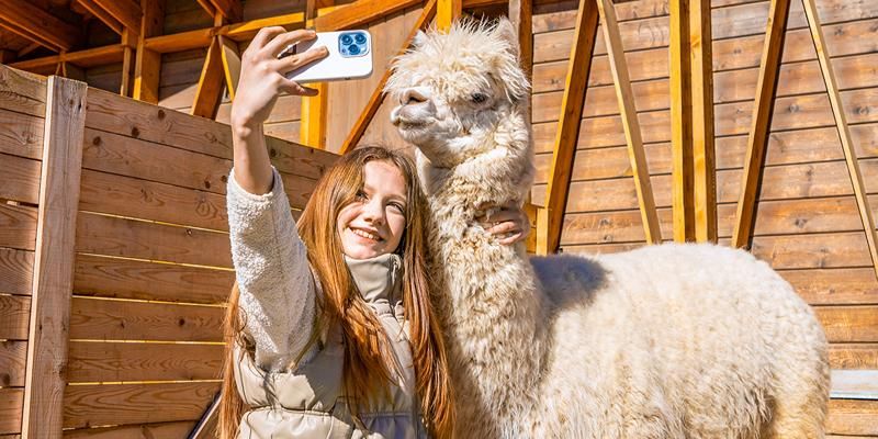 На платформе «Активный гражданин — детям» открылась викторина о домашних животных