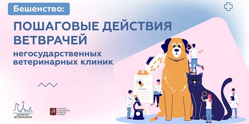 Комитет ветеринарии Москвы проведет обучающий курс, как распознать бешенство для специалистов частных ветклиник
