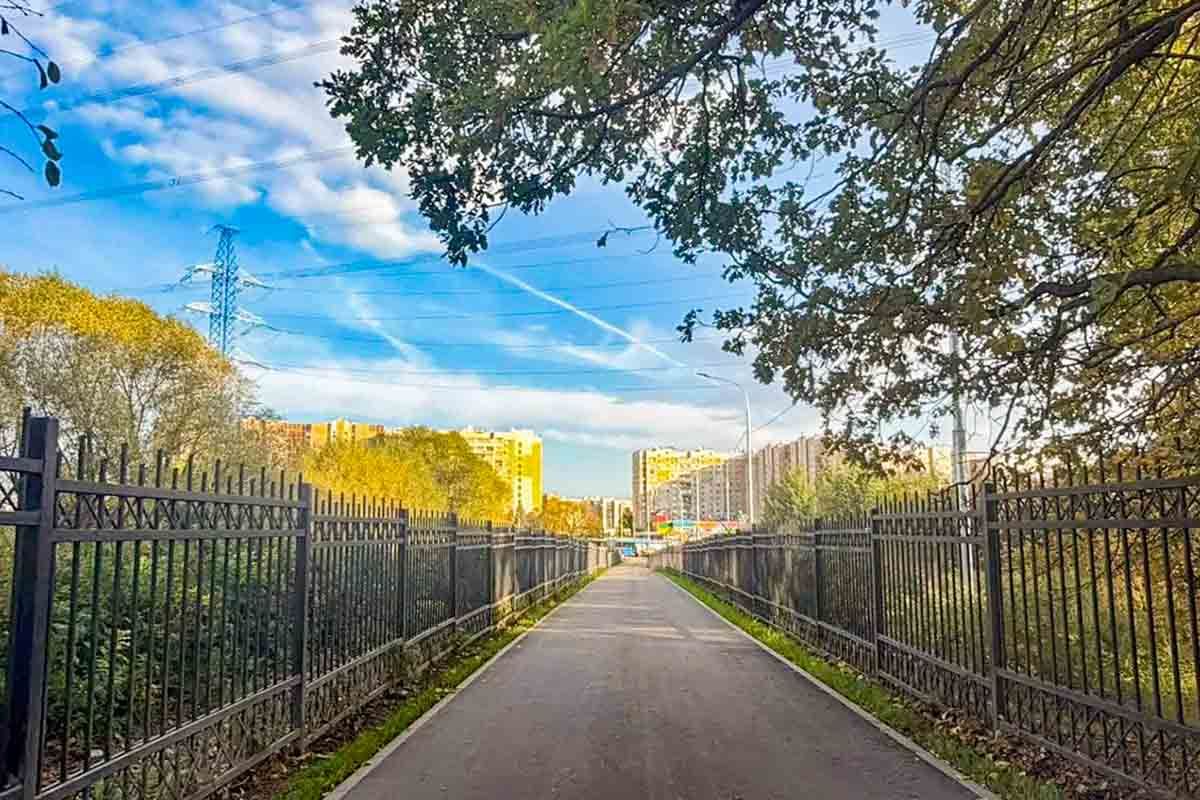 Фото: пресс-служба комплекса городского хозяйства Москвы