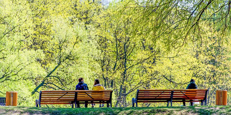До плюс 21: какой будет погода в Москве в ближайшие дни