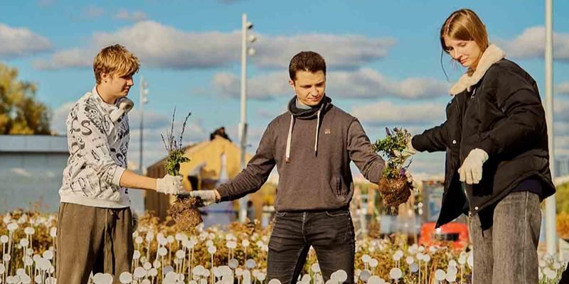 Около 650 тысяч луковичных растений высадят в городских парках к весне