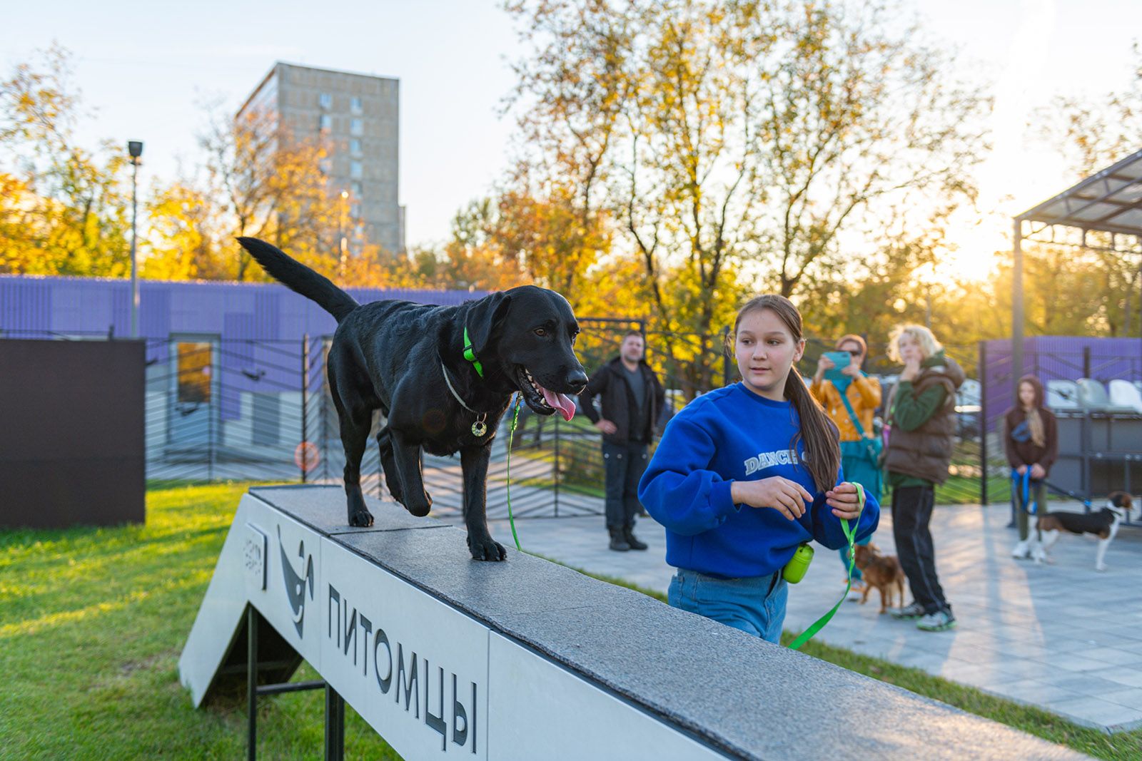Фото: пресс-служба автономной некоммерческой организации &laquo;Комплексное развитие района &ldquo;Мой район&rdquo;&raquo;