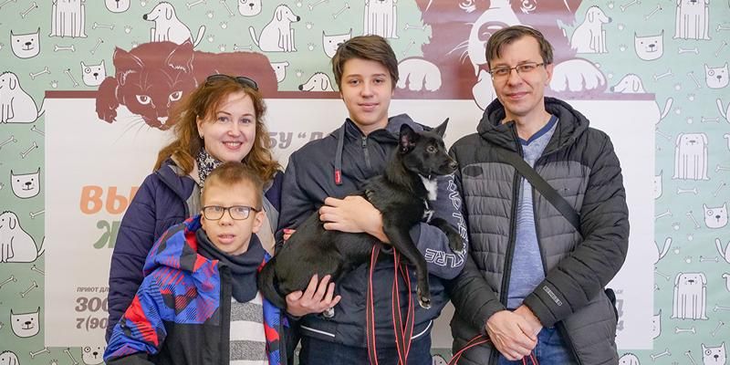 Москвичи смогут забрать питомца домой на выставке-пристройстве в Зеленограде