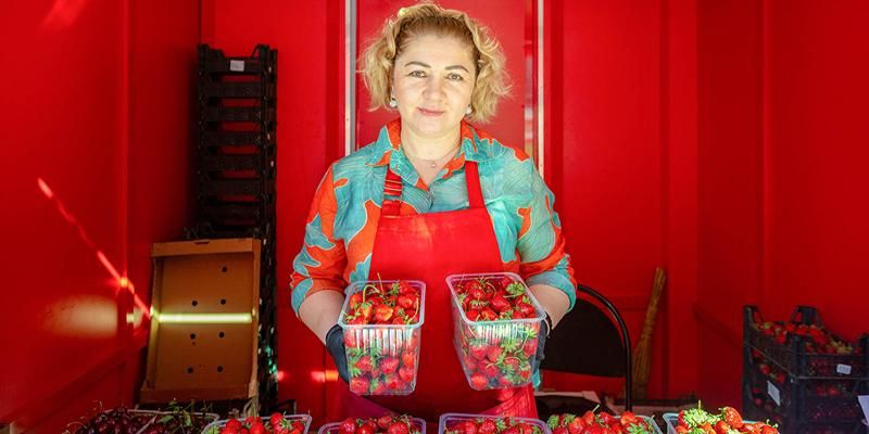 От брусники до малины: в столице начался ягодный сезон
