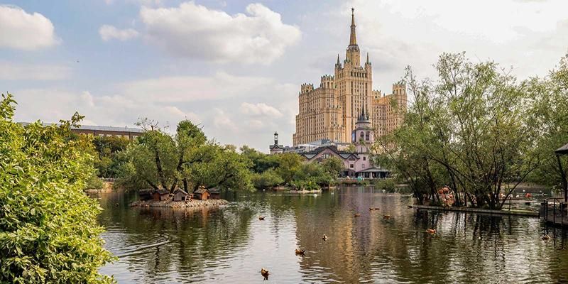 Йога с морскими котиками и уроки английского: чем можно заняться в Московском зоопарке