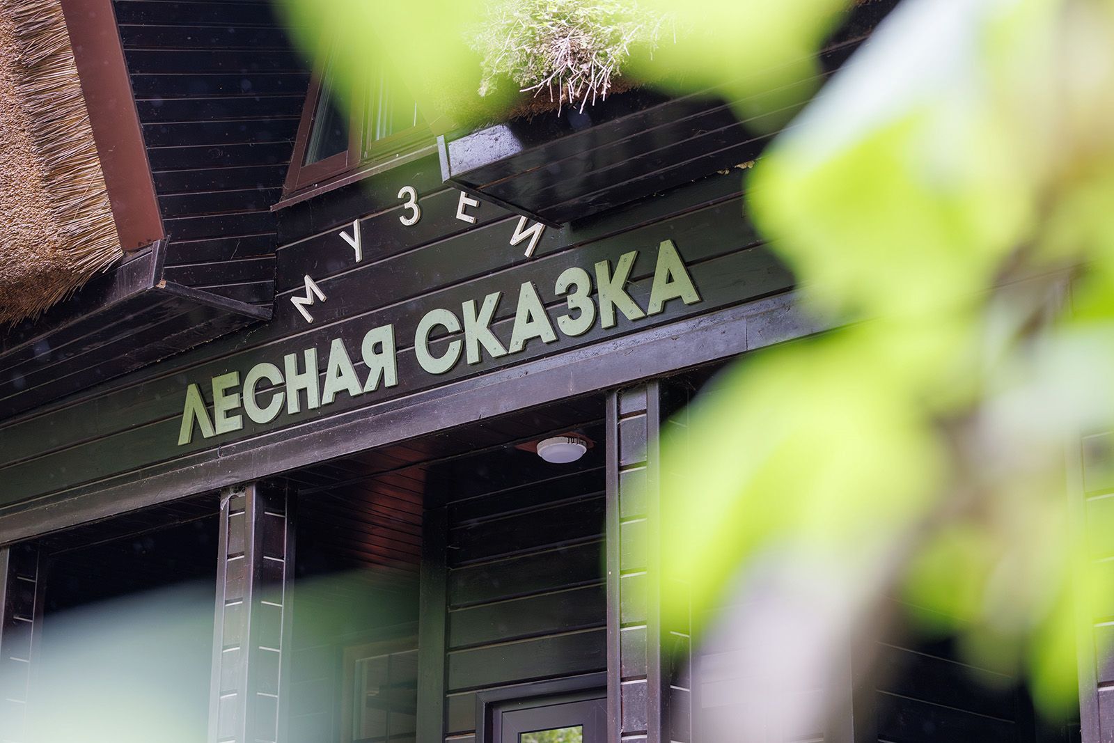 Фото: пресс-служба Департамента природопользования и охраны окружающей среды города Москвы 