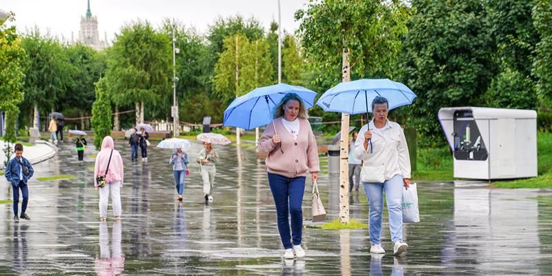 До 25 градусов и кратковременные дожди: какой будет погода в ближайшие дни