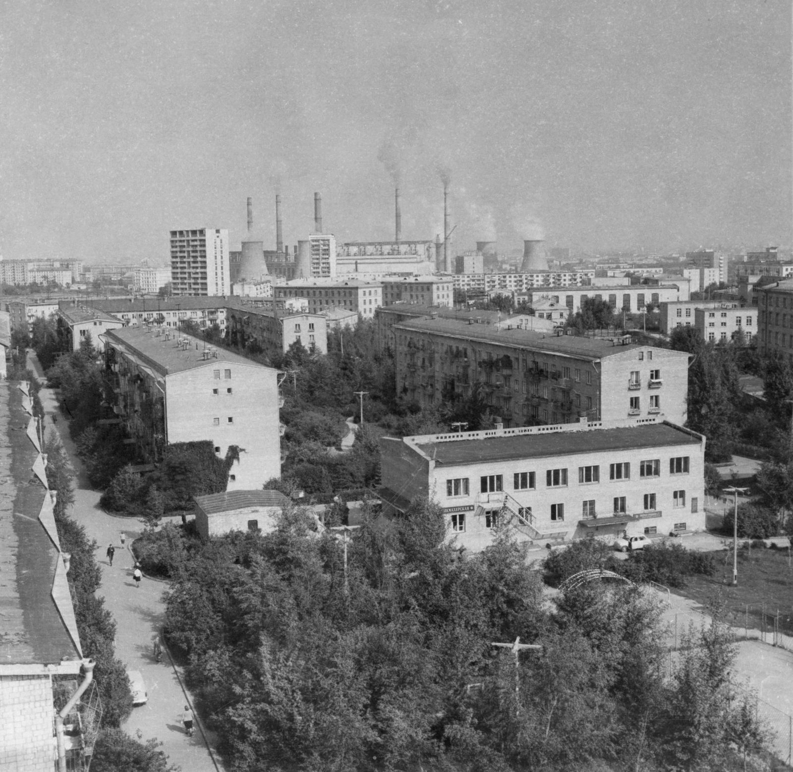 Зеленые насаждения во дворах жилых домов 10-го квартала Новых Черёмушек. Автор – Евграшин. Москва. Сентябрь 1967 г. Главархив Москвы