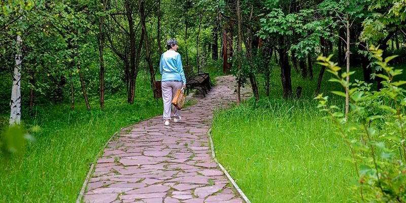 Дикая природа рядом: почему важно не сходить с тропинок в лесу