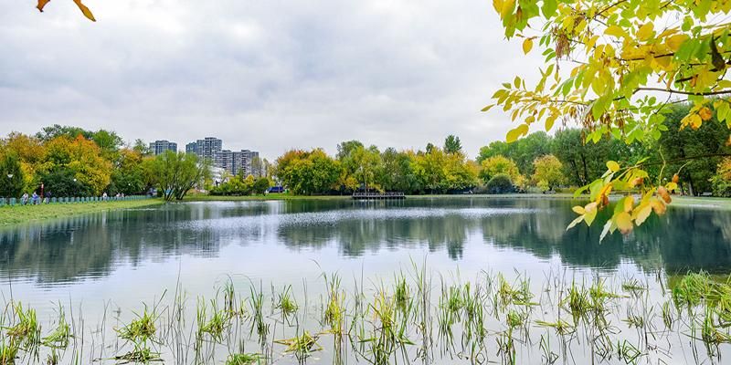 На юго-западе Москвы завершили реабилитацию Нижнего Афонинского пруда
