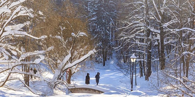 Снег и мороз: последняя неделя февраля в Москве будет холодной