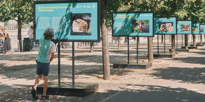 Панда, манул, леопард: в парке искусств «Музеон» открылась выставка к юбилею Московского зоопарка