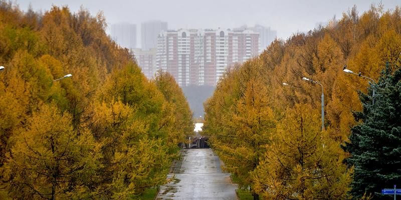 Холодные ночи и дожди: прогноз погоды на ближайшие дни