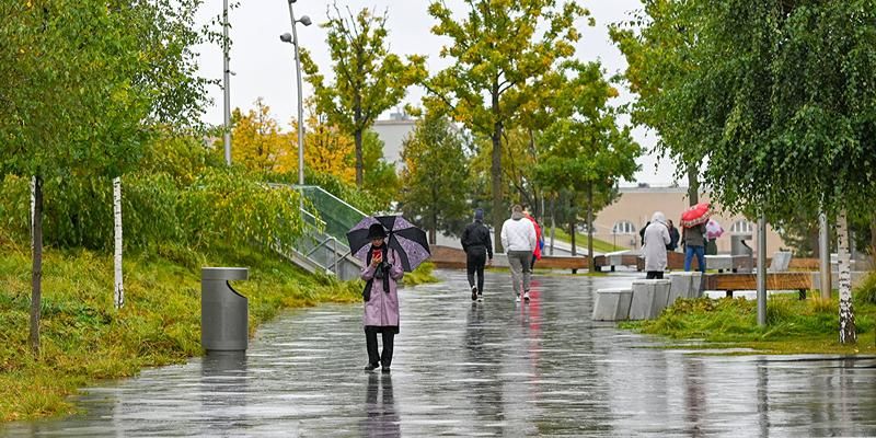 Прогноз погоды в Москве до конца недели: потепление и дожди