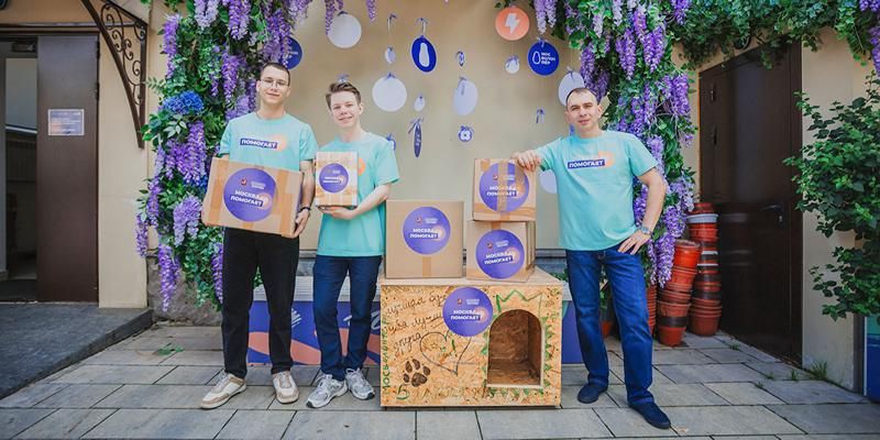 Как жители столицы помогают бездомным животным Белгорода