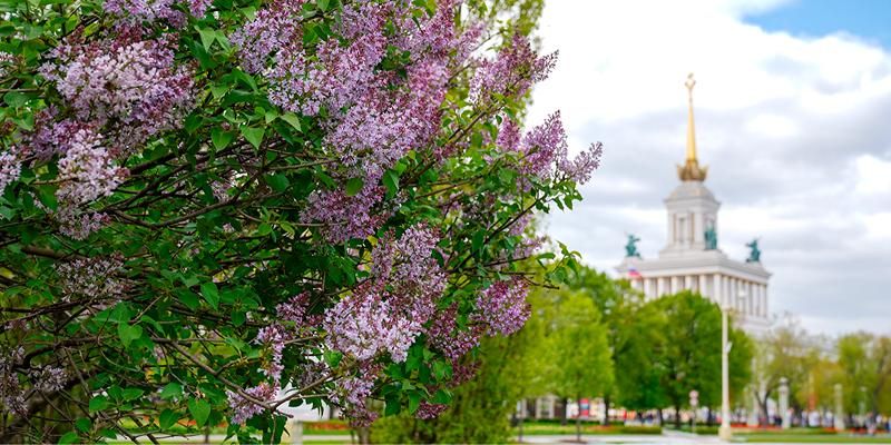 Облачно, небольшие дожди: какой будет погода на этой неделе