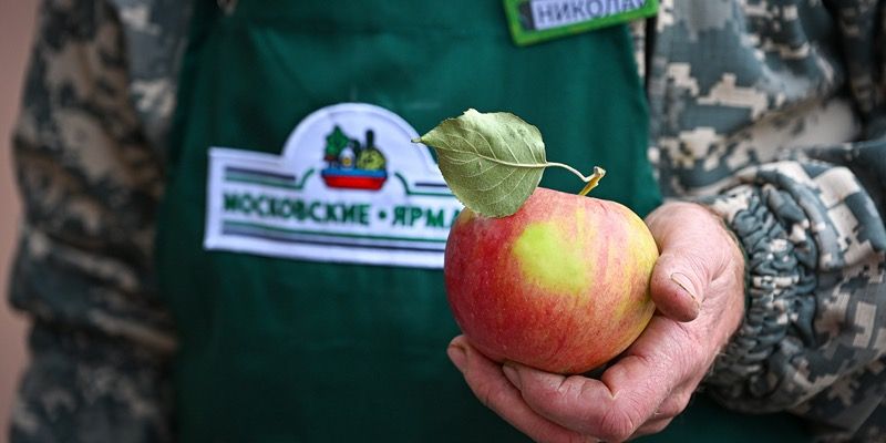 Яблоки из полувекового сада: фермер продает на московской ярмарке плоды труда трех поколений своей семьи