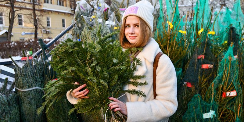 Елочные базары открываются в столице