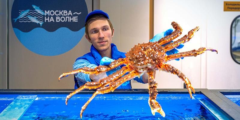 Рыбные рынки «Москва — на волне» предлагают скидку на крабовые деликатесы
