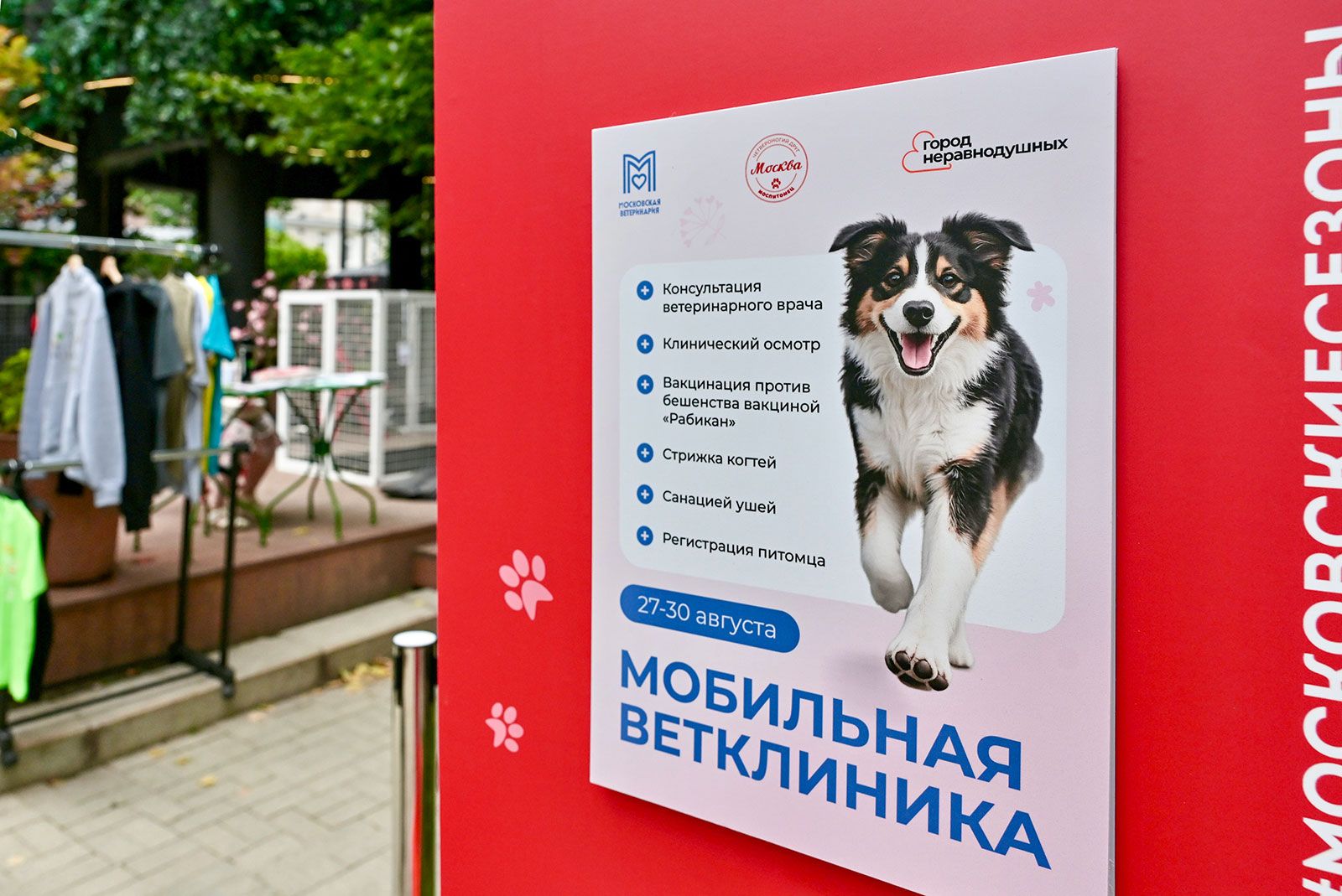 Фото: пресс-служба Департамента торговли и услуг города Москвы