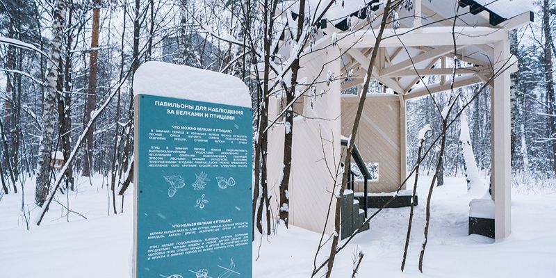Павильоны для наблюдения за животными установили в Щукинском парке и Всехсвятской роще