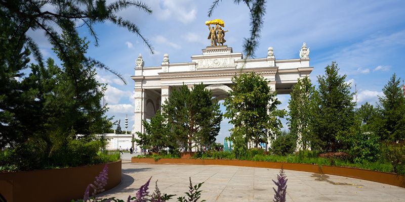 «Дальневосточный лес»: какие растения можно увидеть на ВДНХ до завершения фестиваля «Цветочный джем»