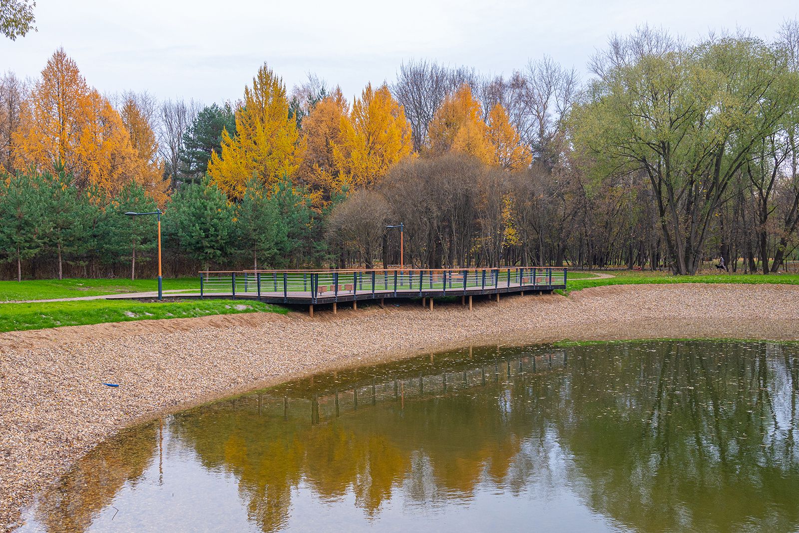 В парке Кусково завершилась экологическая реабилитация Сухого и Малого прудов
