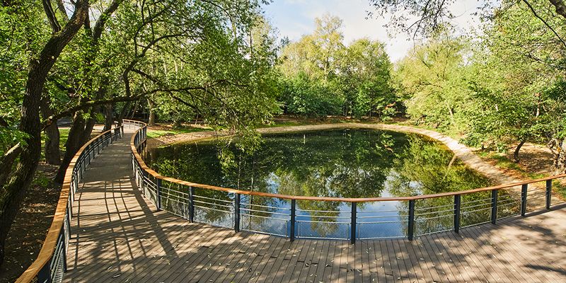 В парке «Кусково» завершена экологическая реабилитация Локасинского пруда