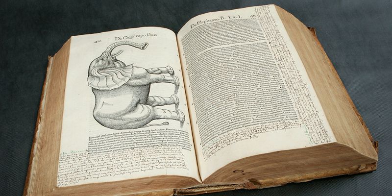 Гравюра Дюрера и крылья бабочек. Что хранится в фонде редкой книги Дарвиновского музея