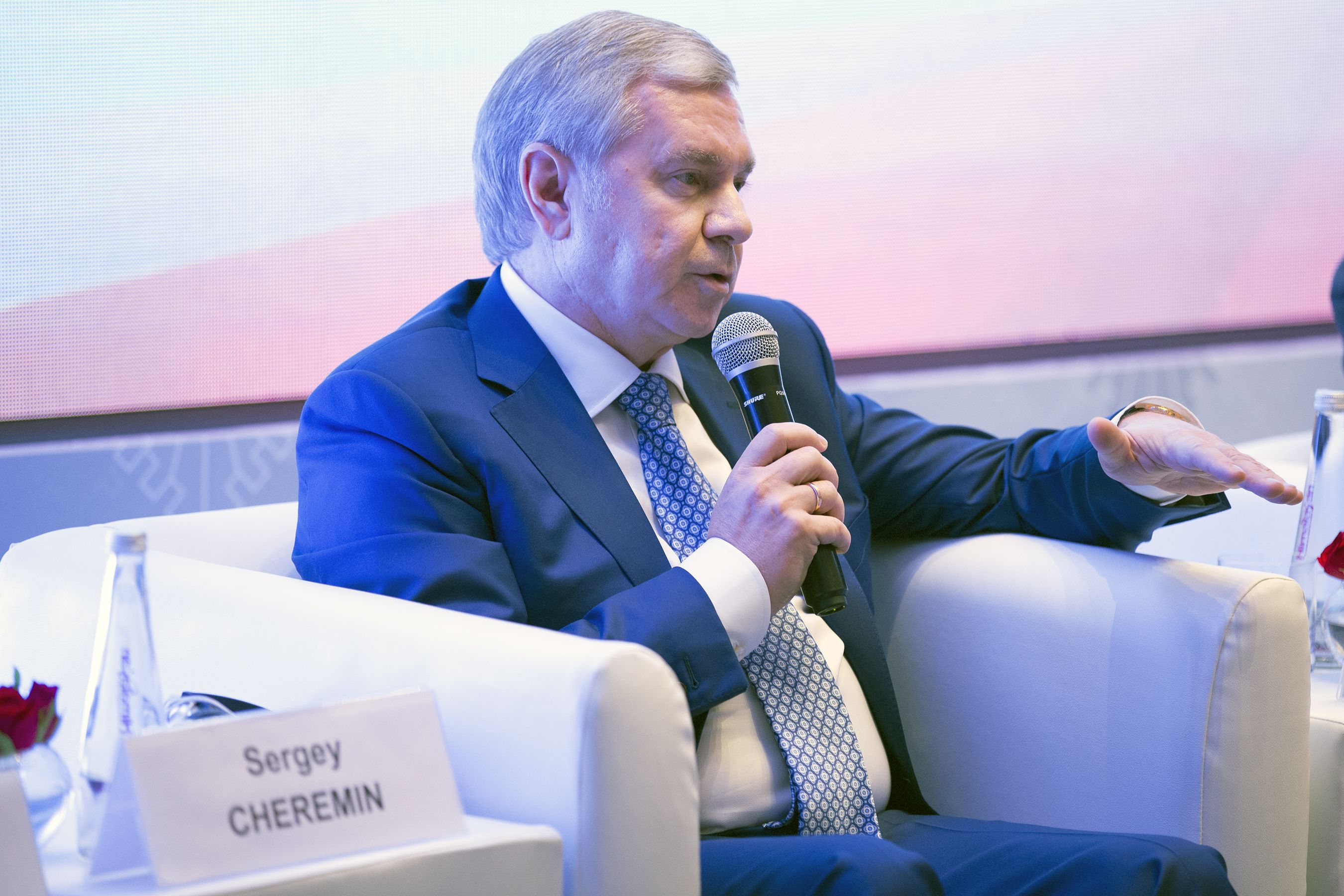 Сергей Черёмин на форуме в Нью-Дели