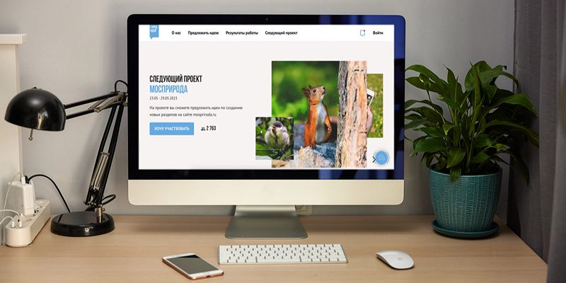 На платформе «Город идей» начался проект, посвященный развитию сайта Мосприроды