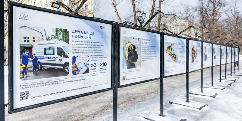 Забота о ваших питомцах: в Москве открылась выставка к 90-летию ветеринарной службы
