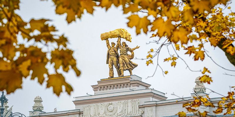 Увлекательно и полезно: что приготовит ВДНХ для детей на следующей неделе