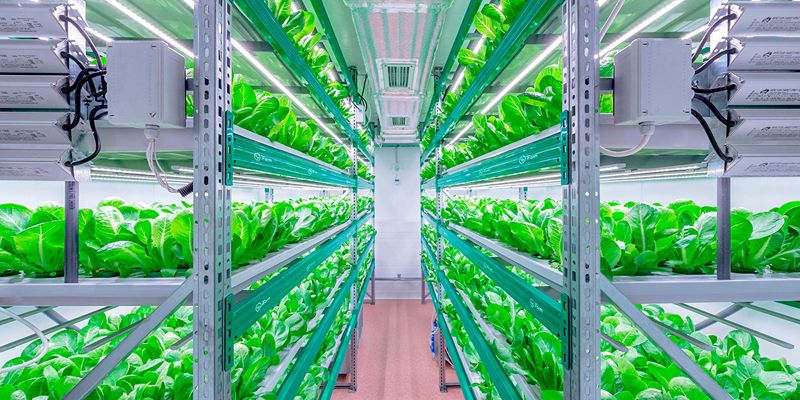 Идеи, ставшие реальностью: какие разработки побеждали на конкурсе «Новатор Москвы»