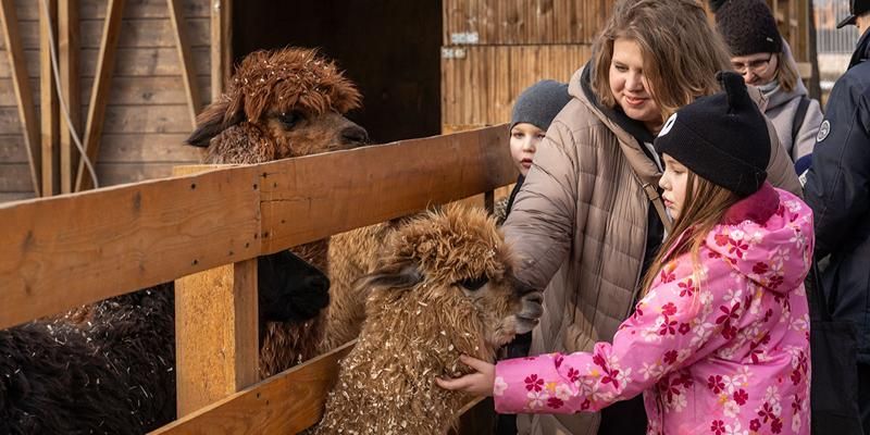 Всемирный день ребенка в Москве: какие мероприятия подготовили на городских площадках