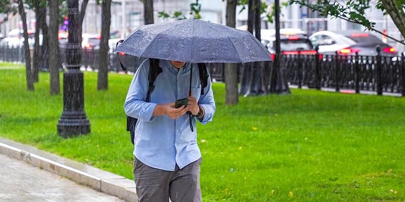 Сильный дождь и ветер: москвичей предупредили об ухудшении погоды