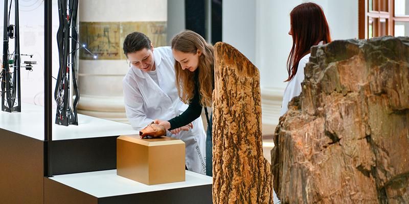 Линия хрупкости: как и почему музейные экспонаты становятся тактильными